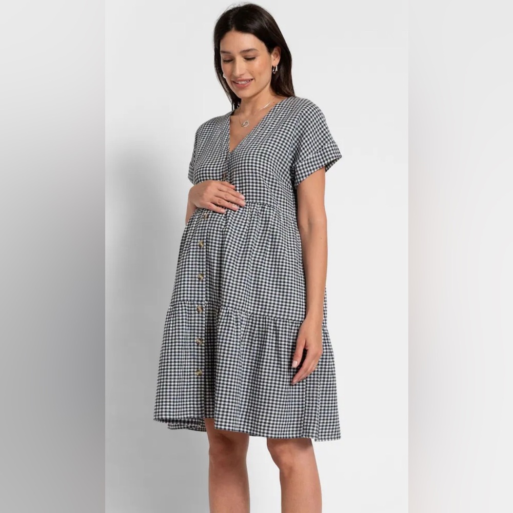 Seraphine Blue Nursing Gingham Dress